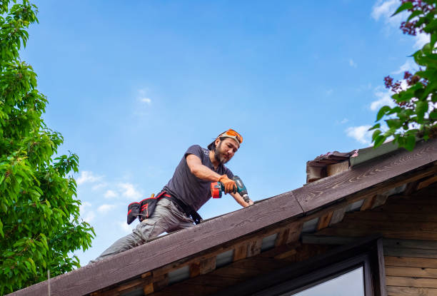 Best Roof Maintenance and Cleaning  in Central City, PA